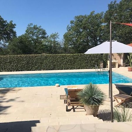 La Brindille Petit Mas Provencal Meuble De Tourisme 3 Etoiles 2-3 Personnes 1 Piece 30 M2 Tout Confort Lisiere Foret Jardin Jacuzzi Piscine Saint-Paul-en-Foret Exterior photo