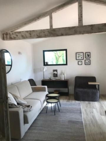 La Brindille Petit Mas Provencal Meuble De Tourisme 3 Etoiles 2-3 Personnes 1 Piece 30 M2 Tout Confort Lisiere Foret Jardin Jacuzzi Piscine Saint-Paul-en-Foret Exterior photo
