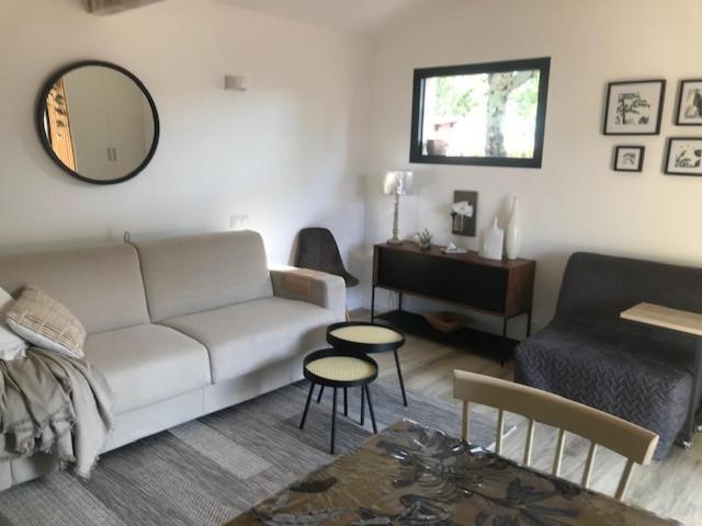 La Brindille Petit Mas Provencal Meuble De Tourisme 3 Etoiles 2-3 Personnes 1 Piece 30 M2 Tout Confort Lisiere Foret Jardin Jacuzzi Piscine Saint-Paul-en-Foret Exterior photo