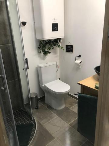 La Brindille Petit Mas Provencal Meuble De Tourisme 3 Etoiles 2-3 Personnes 1 Piece 30 M2 Tout Confort Lisiere Foret Jardin Jacuzzi Piscine Saint-Paul-en-Foret Exterior photo