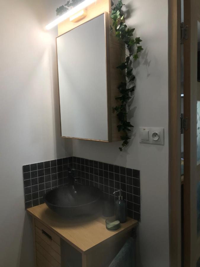 La Brindille Petit Mas Provencal Meuble De Tourisme 3 Etoiles 2-3 Personnes 1 Piece 30 M2 Tout Confort Lisiere Foret Jardin Jacuzzi Piscine Saint-Paul-en-Foret Exterior photo