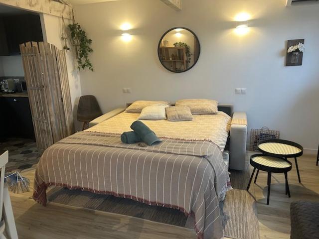 La Brindille Petit Mas Provencal Meuble De Tourisme 3 Etoiles 2-3 Personnes 1 Piece 30 M2 Tout Confort Lisiere Foret Jardin Jacuzzi Piscine Saint-Paul-en-Foret Exterior photo