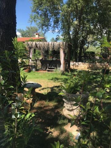La Brindille Petit Mas Provencal Meuble De Tourisme 3 Etoiles 2-3 Personnes 1 Piece 30 M2 Tout Confort Lisiere Foret Jardin Jacuzzi Piscine Saint-Paul-en-Foret Exterior photo